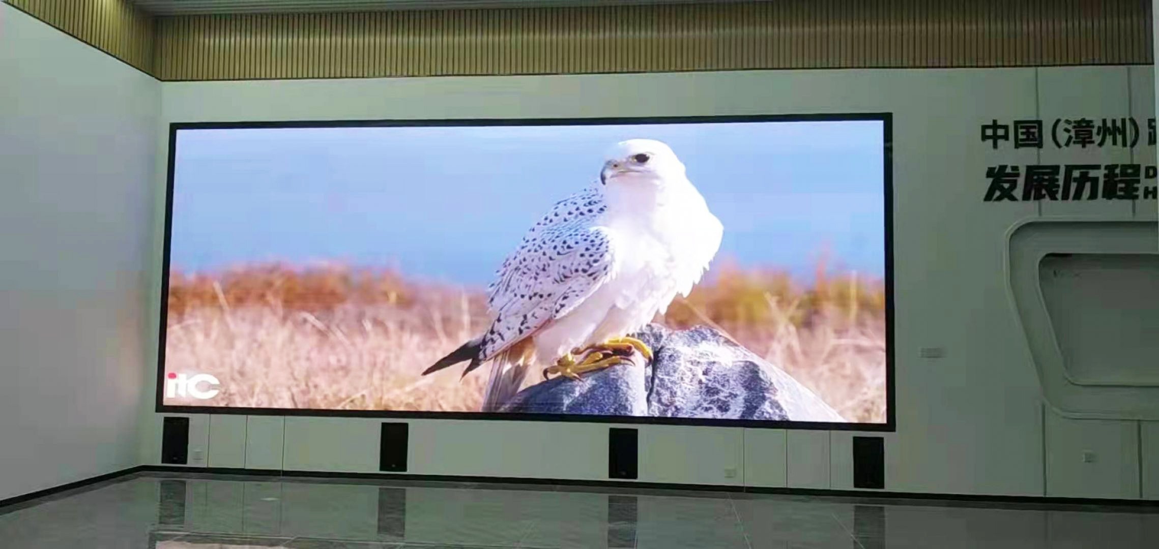 Why are LED conference screens becoming more and more popular in the market?