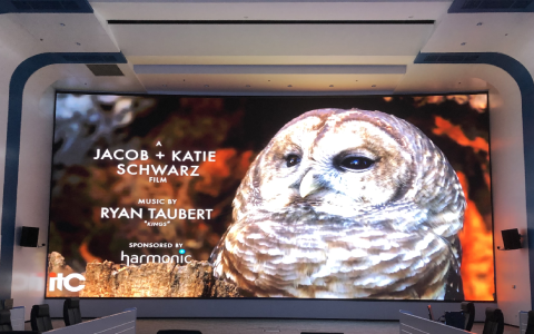 LED Display Industry Trends 2026: A Deep Dive into AI and COB Tech