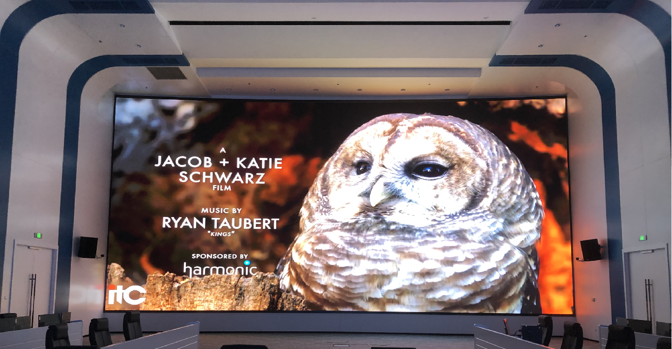 LED Display Industry Trends 2026: A Deep Dive into AI and COB Tech